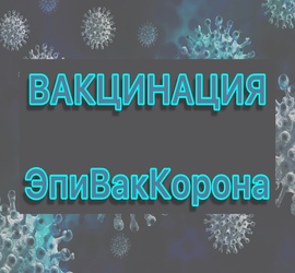 1110.jpg